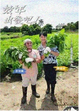国家宝藏